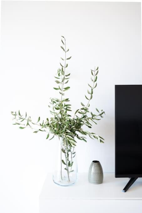 Cozy Apartment "Iskra" - 3 Bedrooms 자다르 외부 사진